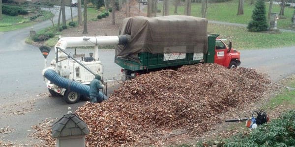 leaf-removal-services-loudoun-county