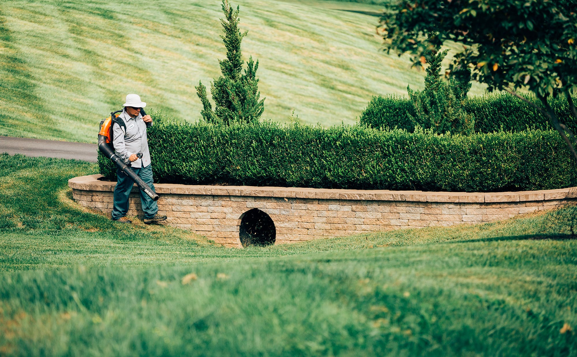 Legendary Lawn Care Maintenance, Commercial & Residential