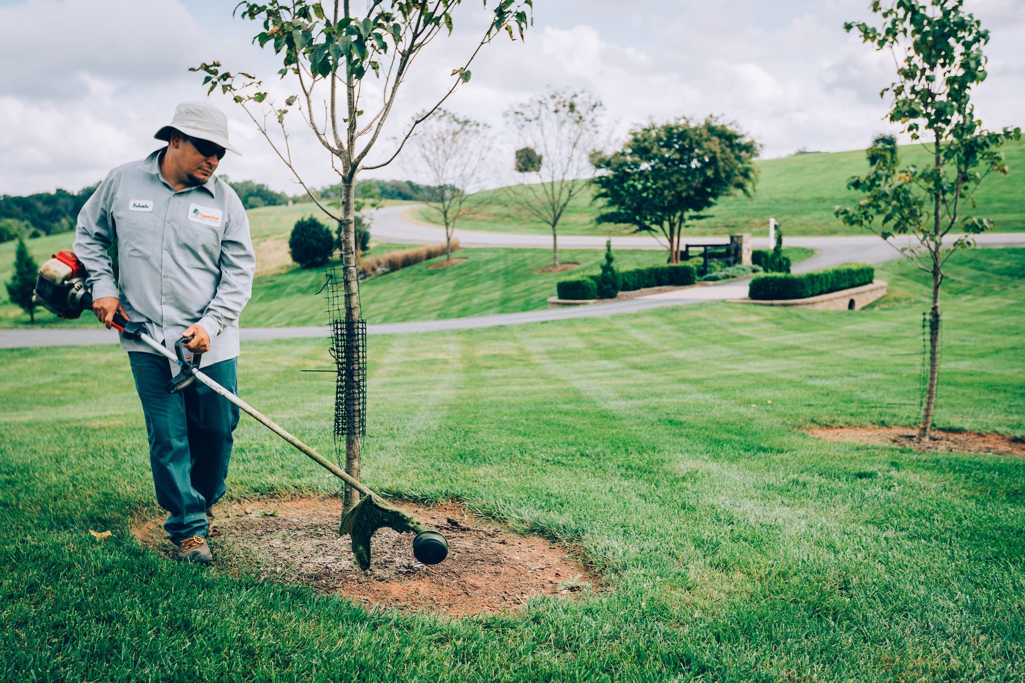 Spring landscaping services Reston Leesburg Northern Virginia