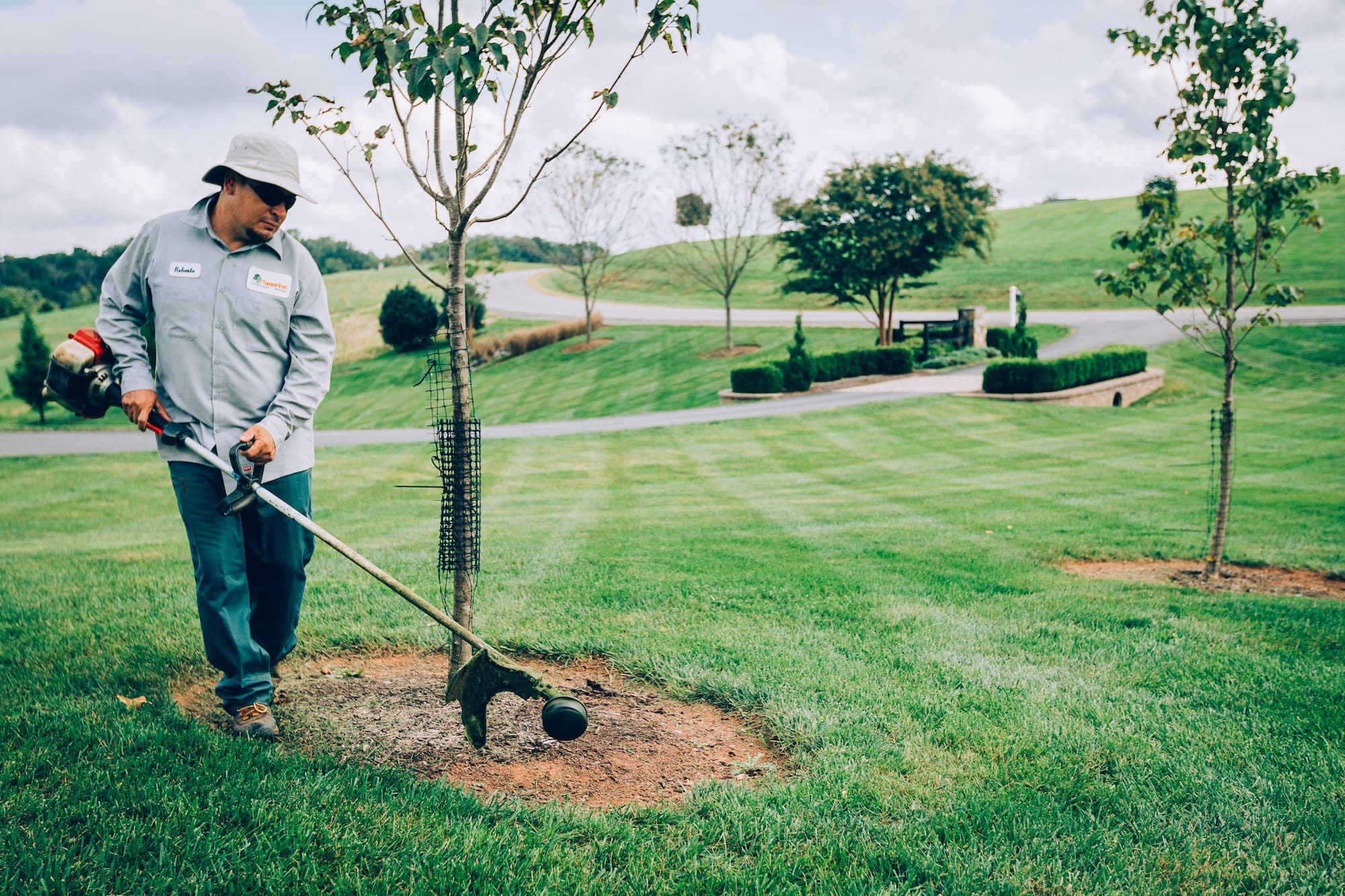 Landscaping